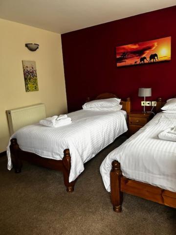 The Fountain Inn Tenbury Wells Esterno foto